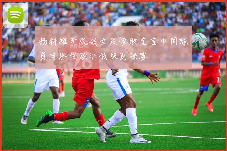 扬科维奇观战女足惨败直言中国球员可胜任欧洲低级别联赛