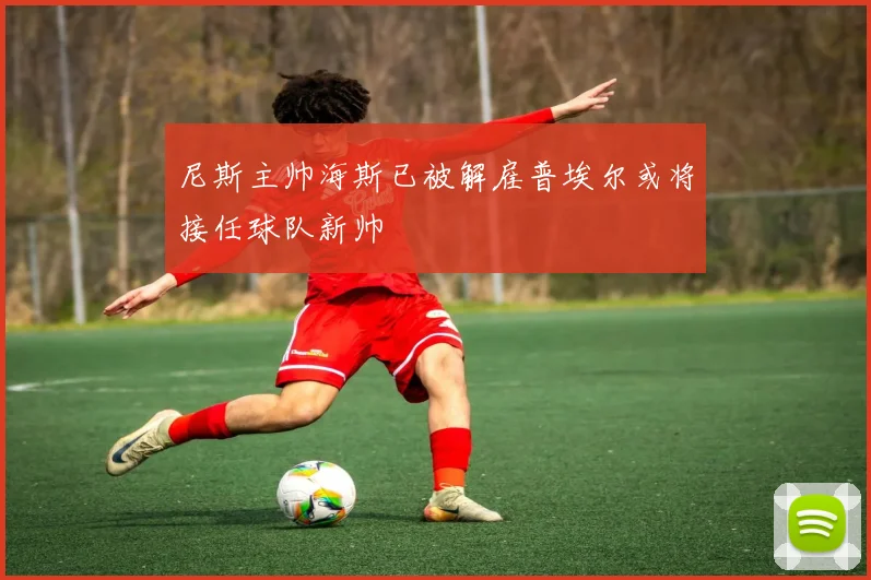 尼斯主帅海斯已被解雇普埃尔或将接任球队新帅